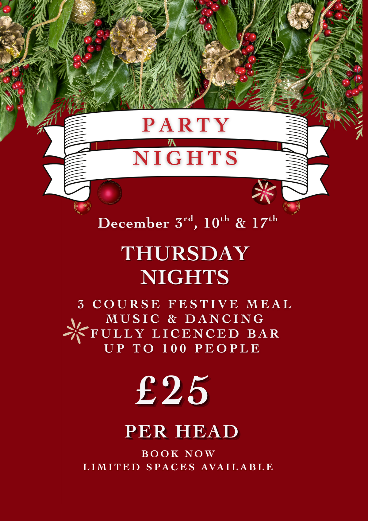 Christmas Party Nights