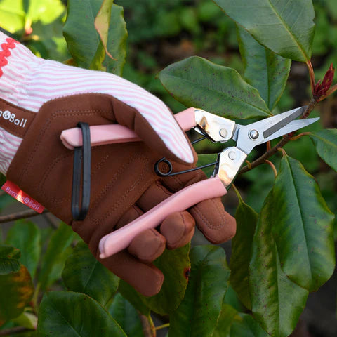 NEW Collectors Blush Fruit and Flower Snips