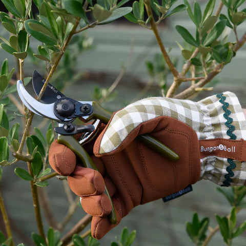 NEW Colour Collection Gloves - Olive Check