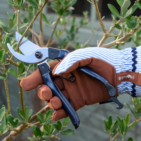 NEW Colour Collection Gloves - Blue Stripe