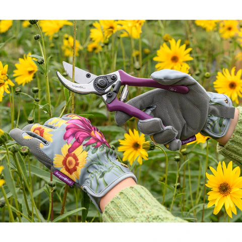 Asteraceae Gloves