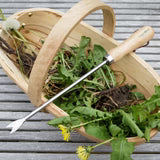 RHS Stainless Dandelion Weeder
