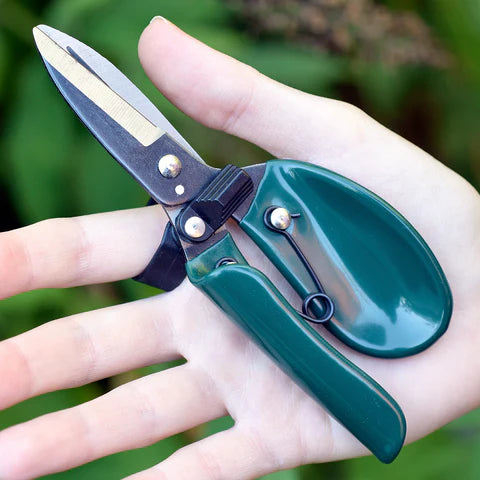 RHS Ergo Deadheader