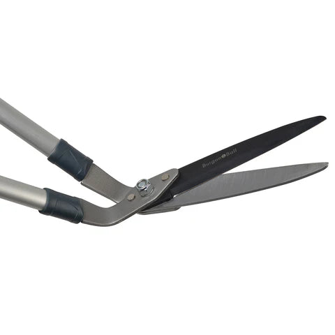 RHS Lawn Shear