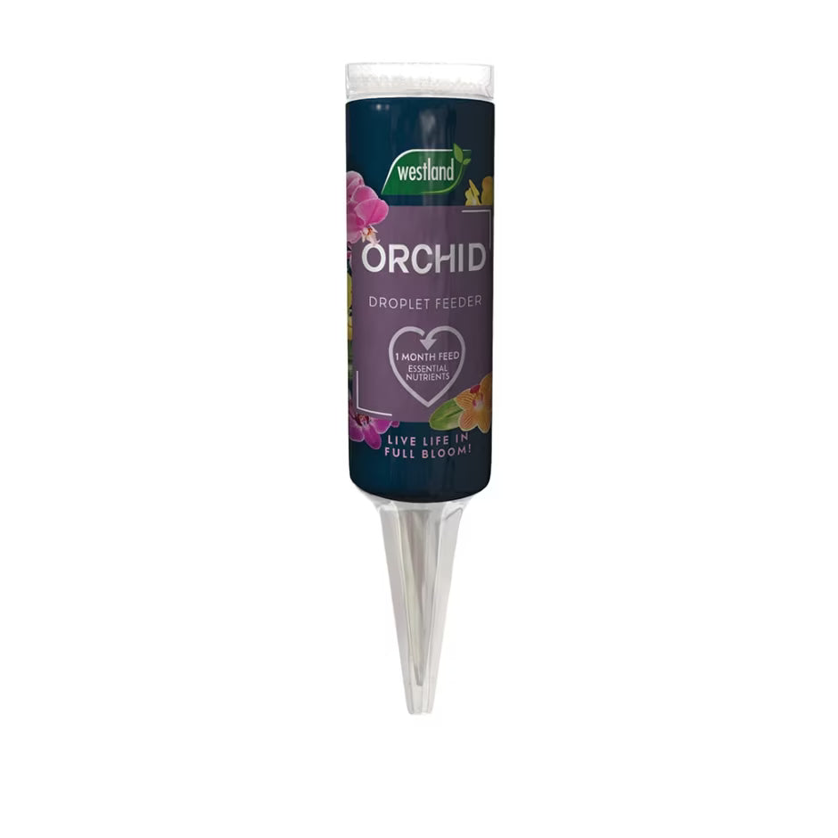 Westland Orchid Droplet Feeder 40ml