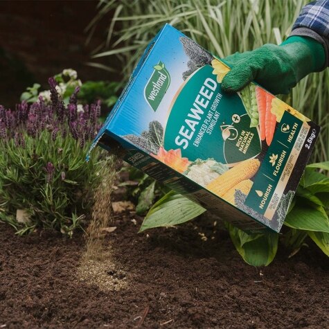 Westland Seaweed Enhanced 2.5kg