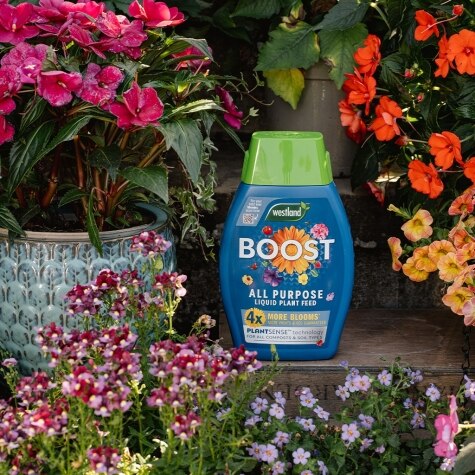 Westland Boost All Purpose Liquid Plant Food 1L