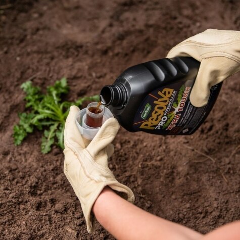Resolva Pro Weedkiller Xtra Tough 1L Concentrate