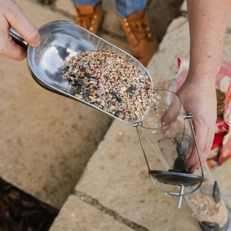 PK Bird Food Metal Scoop