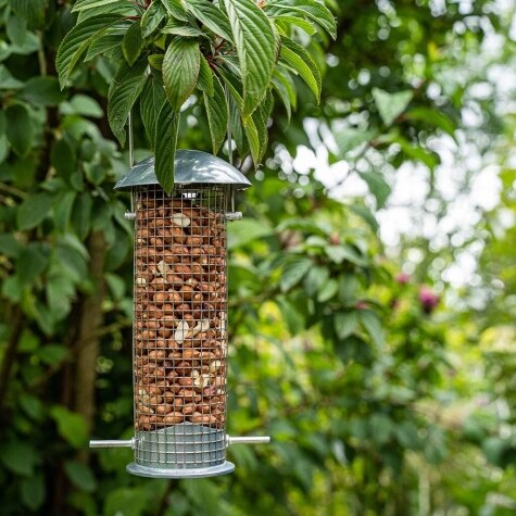 GM Heavy Duty Peanut Feeder