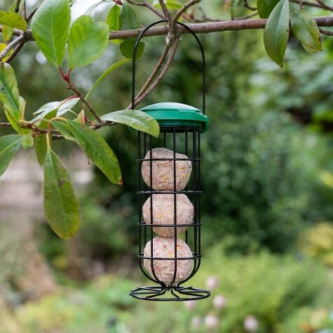 GM Flip Top Fat Snax Feeder