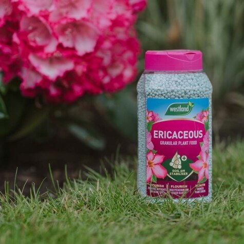 Westland Ericaceous Plant Food Granules Jar 900G