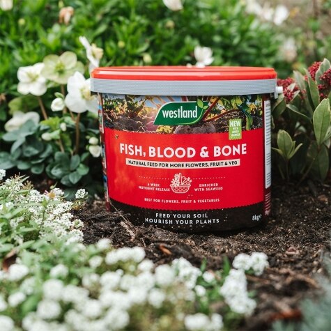 Bone Meal 8kg Tub