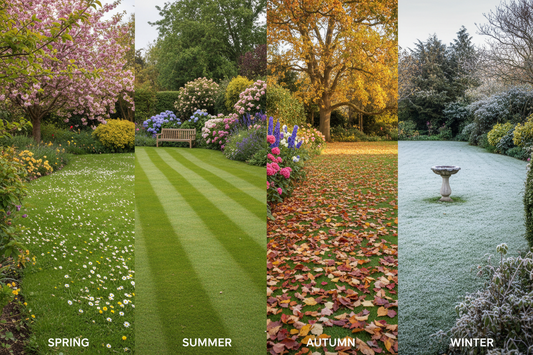 Seasonal Lawn Care: A Year-Round Gardening Guide