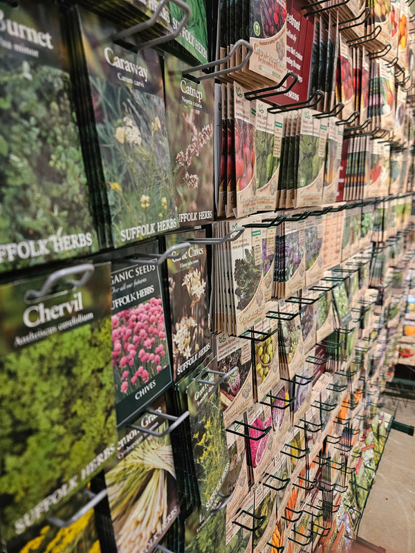 Seeds