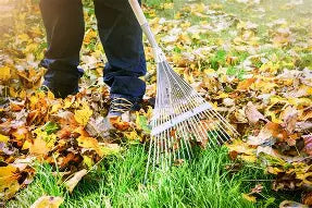 Garden Tidy