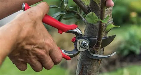 Gardening Cutting Tools