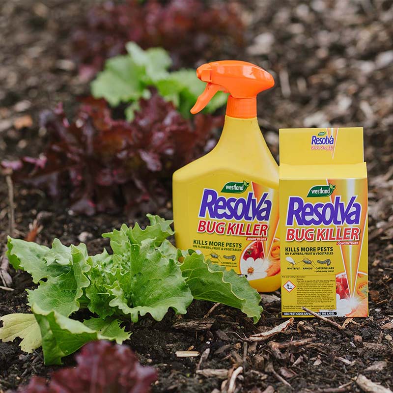 Insecticides and Fungicides