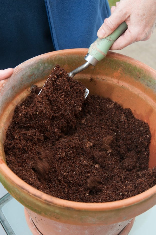 Compost & Bark