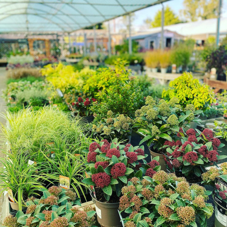 Rutland Garden Centre E-Voucher