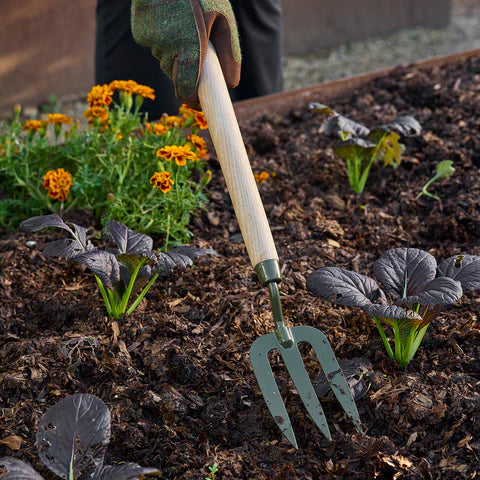 NEW BoronGreen Mid Handled Fork RHS FSC 100%