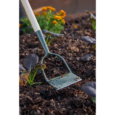 NEW BoronGreen Dutch Hoe RHS FSC 100%