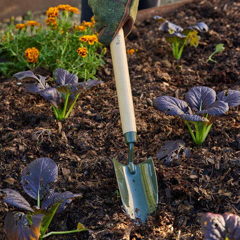 NEW BoronGreen Mid Handled Trowel RHS FSC 100%