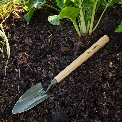 NEW BoronGreen Mid Handled Trowel RHS FSC 100%