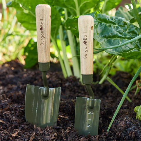 NEW BoronGreen Hand Trowel RHS FSC 100%