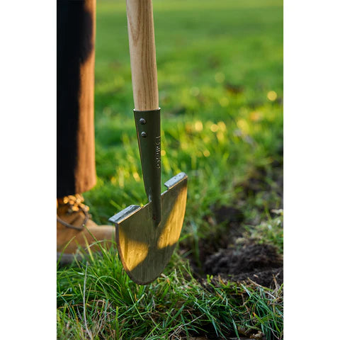 NEW BoronGreen Lawn Edger RHS FSC 100%