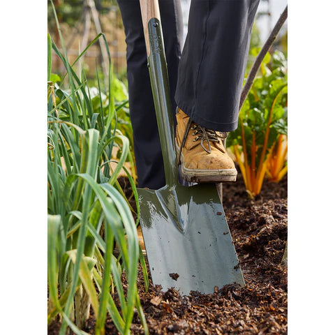 NEW BoronGreen Digging Spade RHS FSC 100%