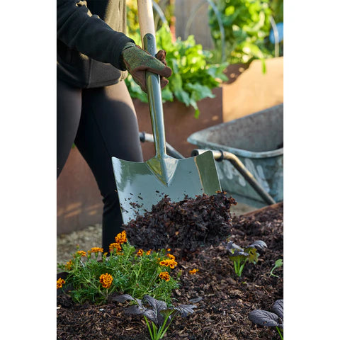 NEW BoronGreen Square Shovel RHS FSC 100%