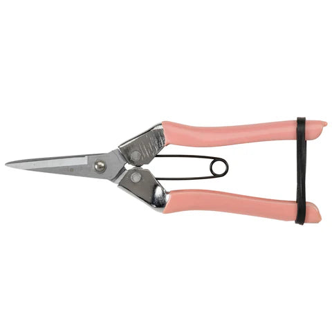 NEW Collectors Blush Fruit and Flower Snips