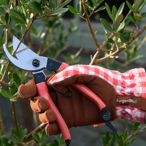 NEW Colour Collection Gloves - Red Check
