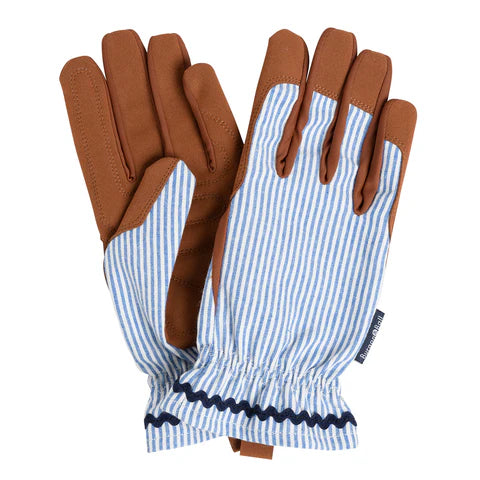 NEW Colour Collection Gloves - Blue Stripe