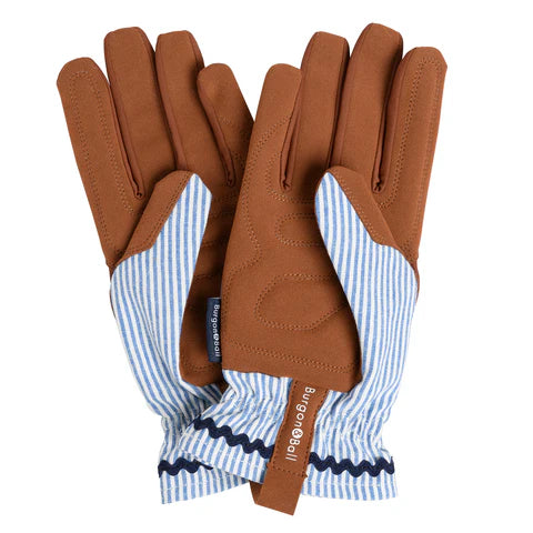 NEW Colour Collection Gloves - Blue Stripe