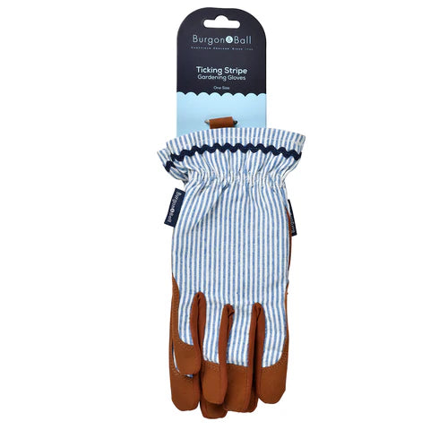NEW Colour Collection Gloves - Blue Stripe