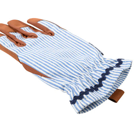 NEW Colour Collection Gloves - Blue Stripe
