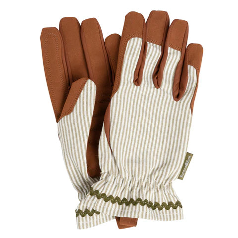 NEW Colour Collection Gloves - Olive Stripe