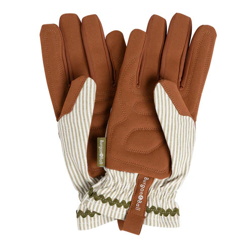 NEW Colour Collection Gloves - Olive Stripe