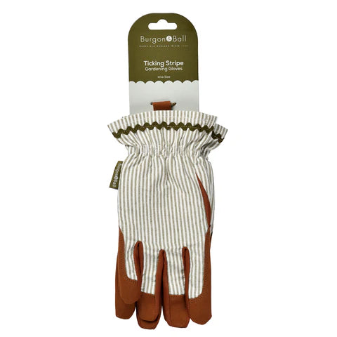 NEW Colour Collection Gloves - Olive Stripe