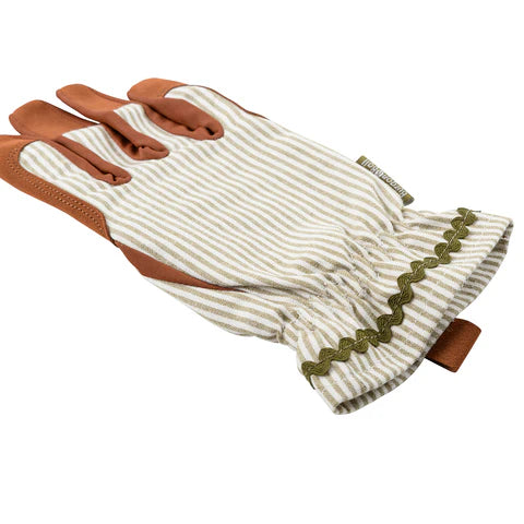 NEW Colour Collection Gloves - Olive Stripe