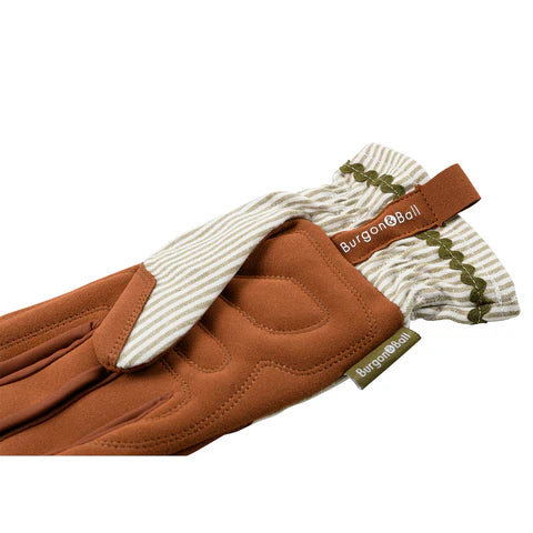 NEW Colour Collection Gloves - Olive Stripe