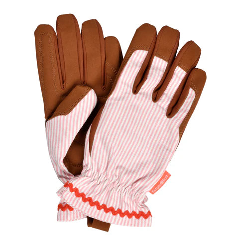 NEW Colour Collection Gloves - Blush Stripe