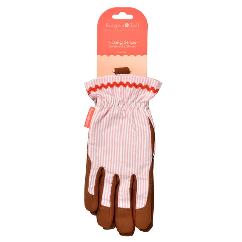 NEW Colour Collection Gloves - Blush Stripe