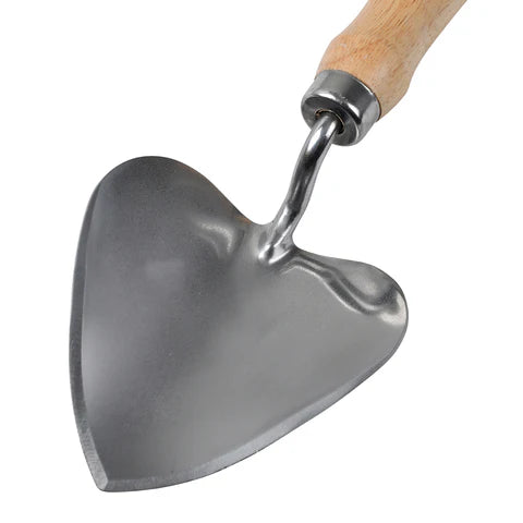 RHS Stainless Planting Trowel - FSC 100%
