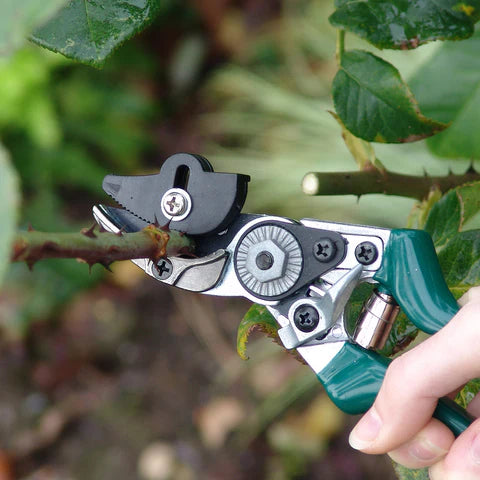 RHS Rose Pruner