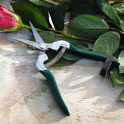 RHS Flower & Fruit Snip