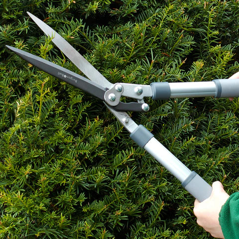 RHS Hedge Shear