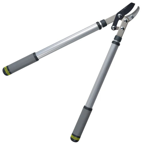 RHS Telescopic Handled Anvil Lopper